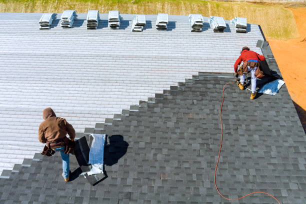 Best Roof Restoration Services  in Robins Af, GA