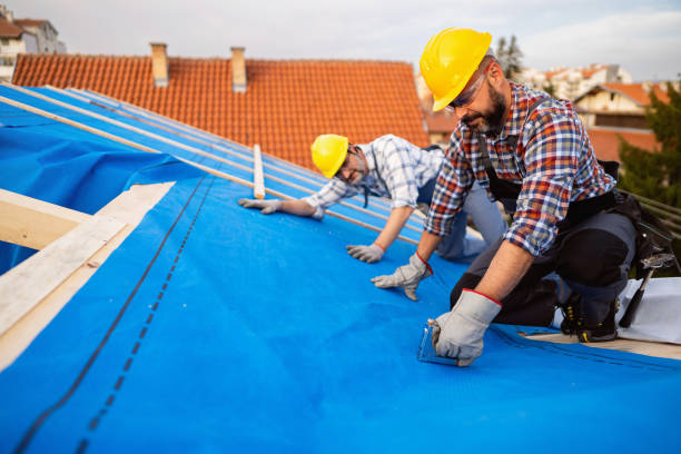Best Roof Repair Services  in Robins Af, GA