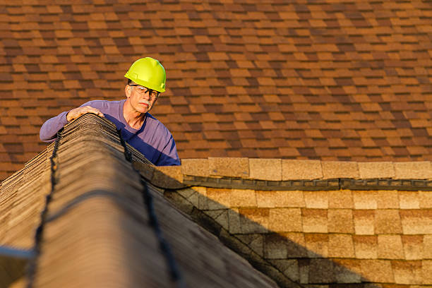 Best Roof Gutter Cleaning  in Robins Af, GA