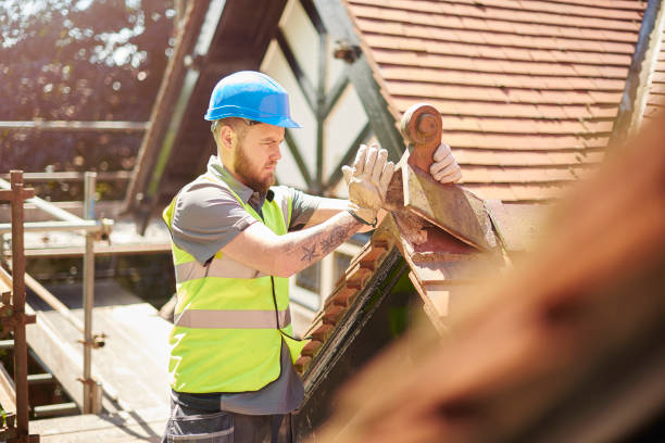 Roof Gutter Cleaning in Robins Af, GA
