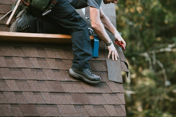 Best Gutter Installation and Roofing  in Robins Af, GA